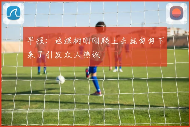早报：这棵树刚刚爬上去就匆匆下来了引发众人热议